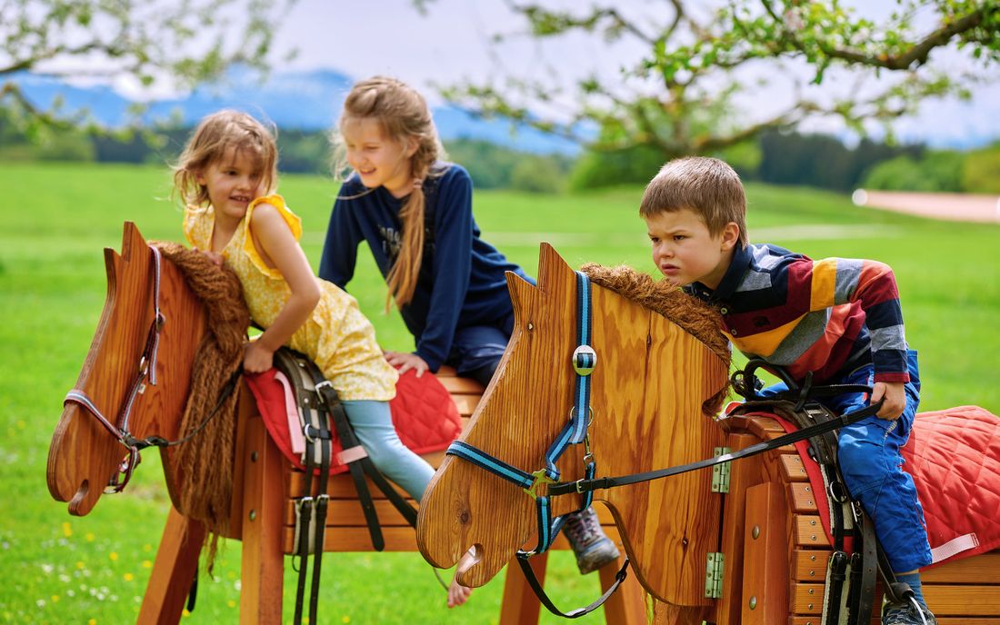 Spielmöglichkeiten am Hof