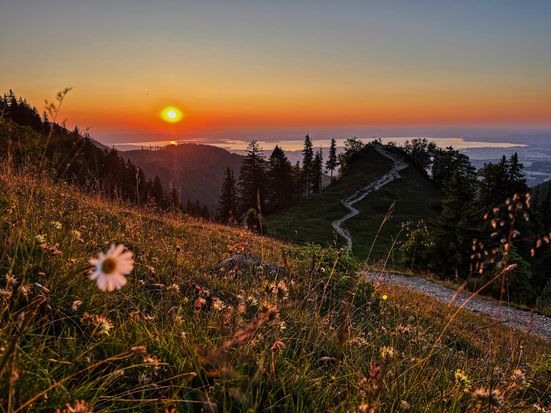 Abendstimmung am Kleinen Felln