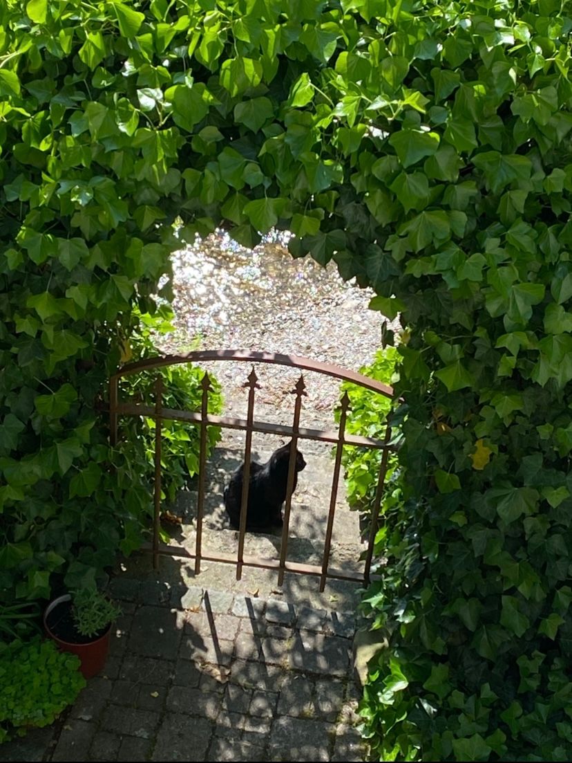 Ich wohne auch hier!