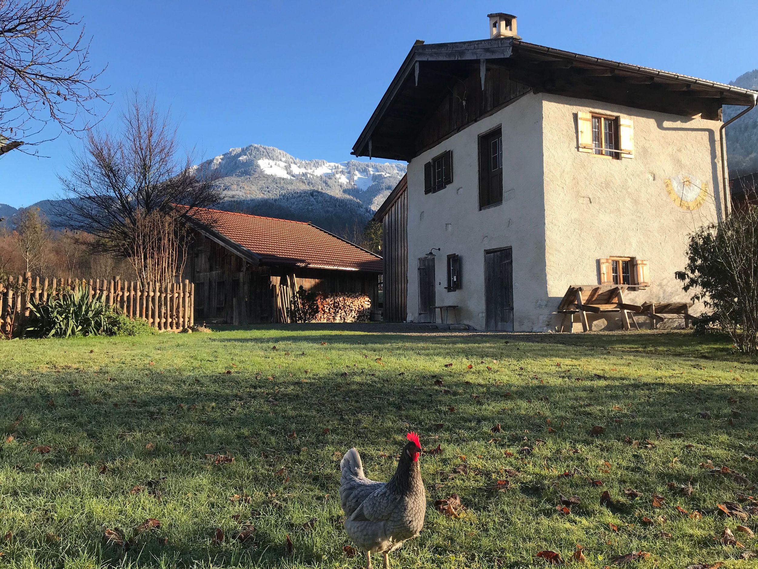 Zuhäusl mit Huhn und Hochgern