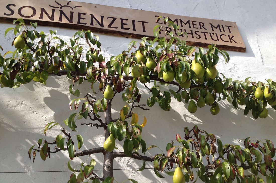 Vitalort Pension Sonnenzeit