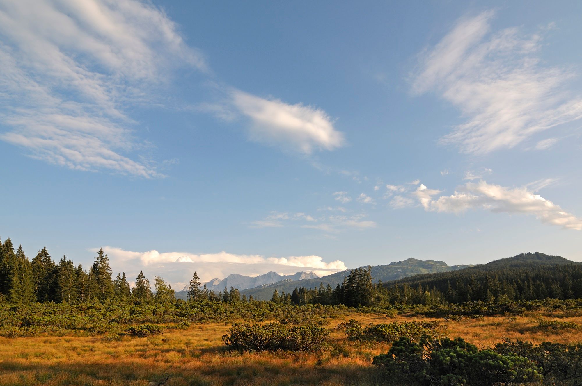 Winklmoos-Alm © Eisele Hein (1)