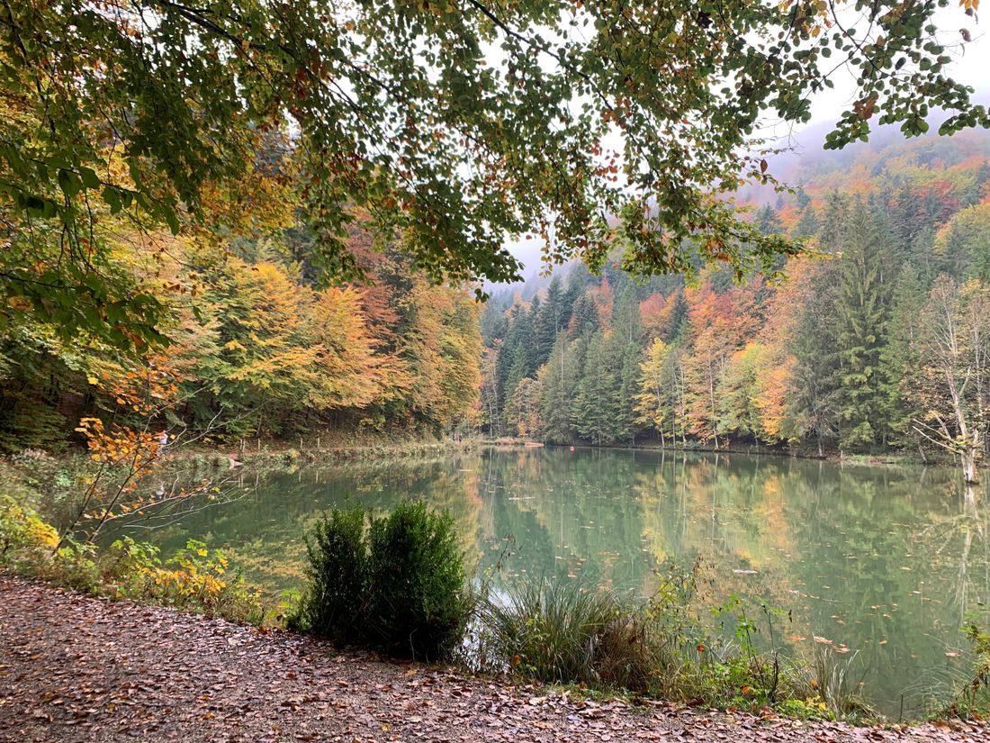 Rudersburger See Herbst