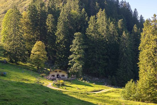 Staudacher Alm