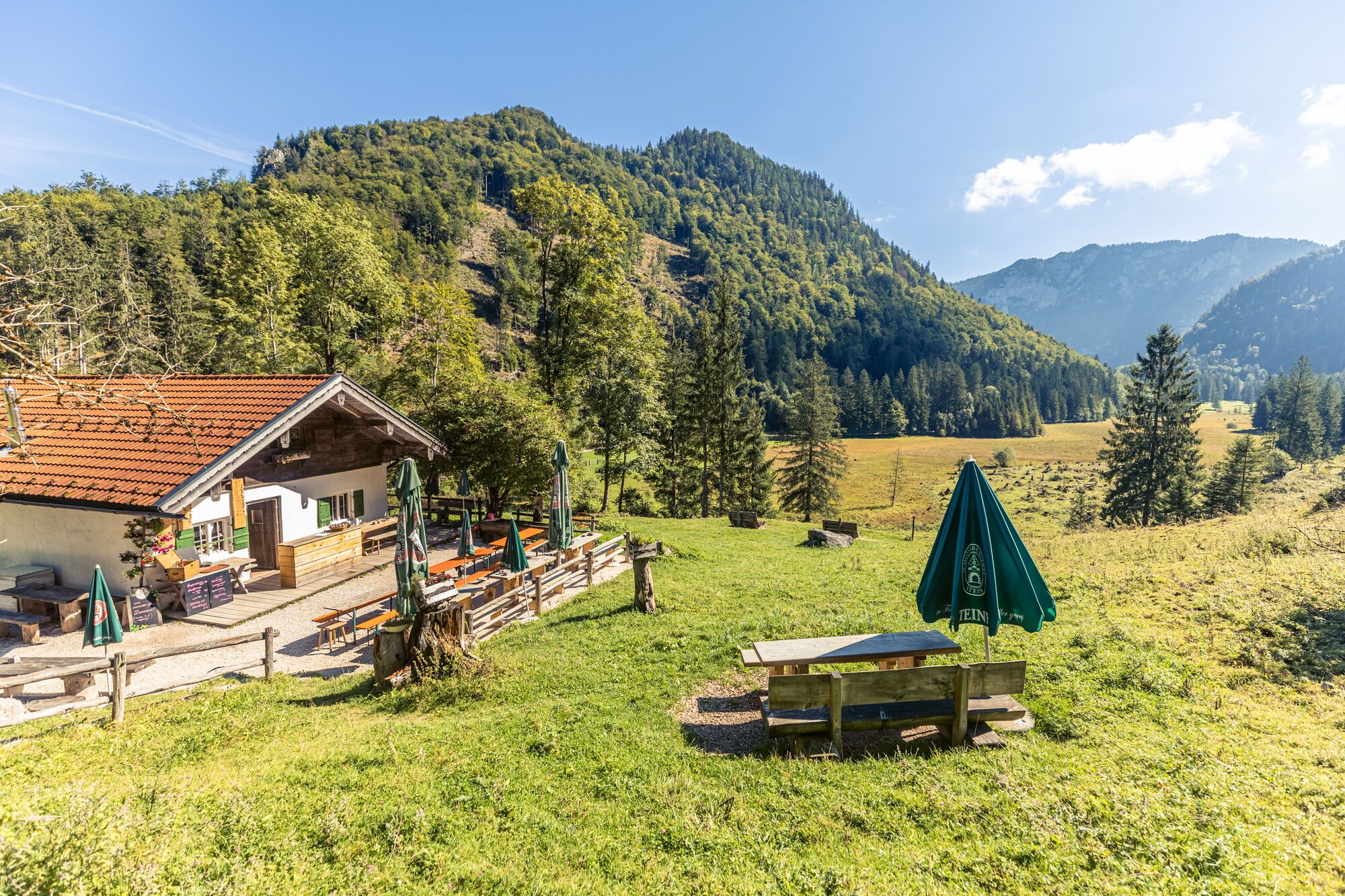 Inzell Sommer Moaralm Wildenmoos Landschaft Natur