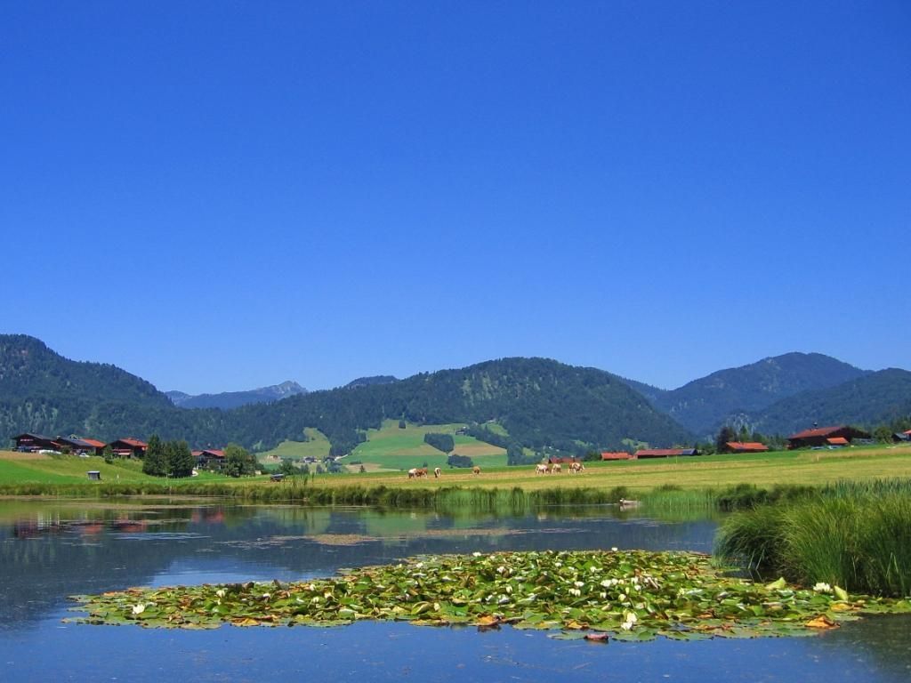 der kleine See ganz in der Nähe