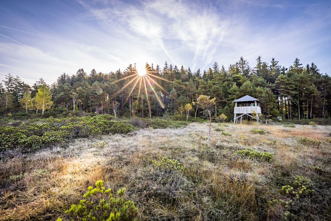 Beobachtungsplattform_am_großen_Latschenfeld_Seebruck
