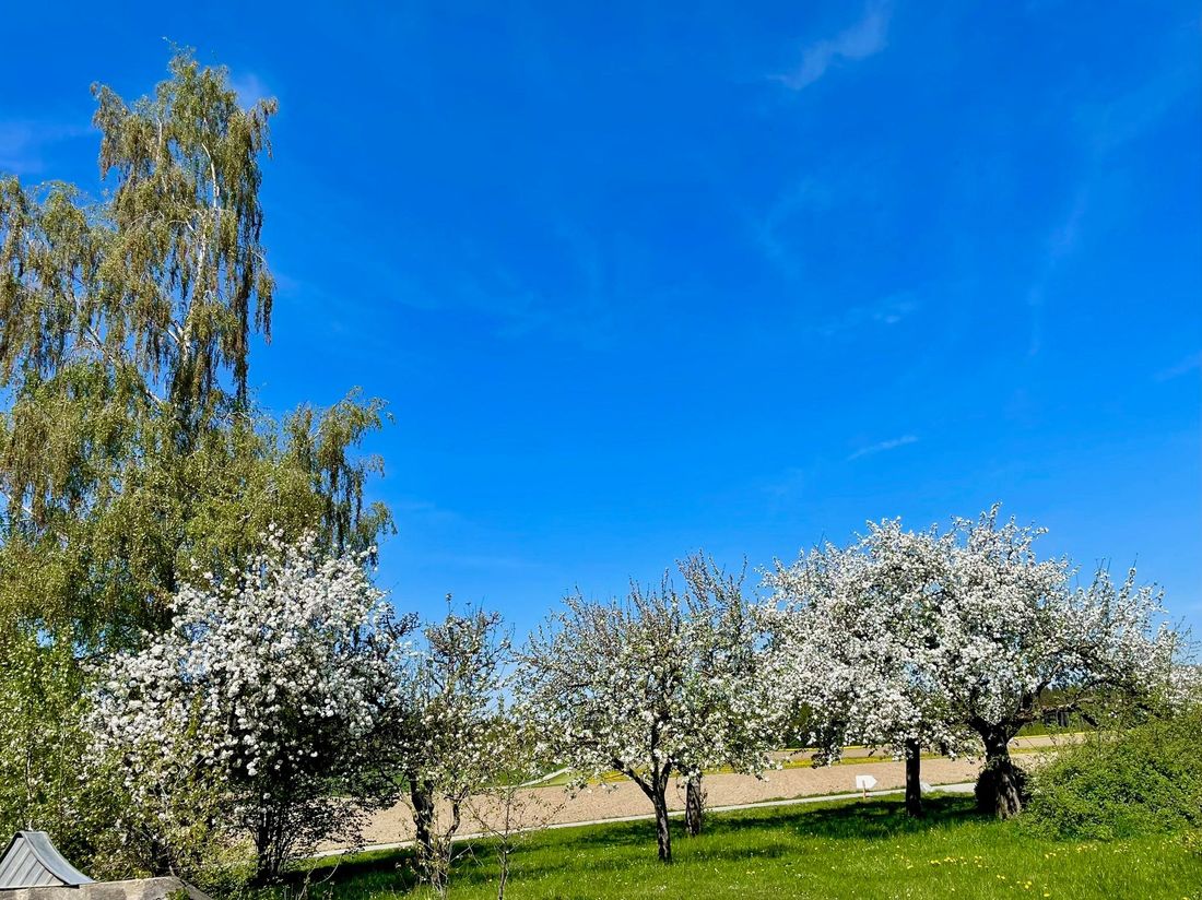 Obstanger