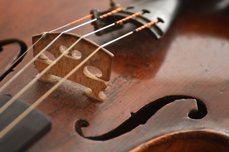 violin_1_1_1