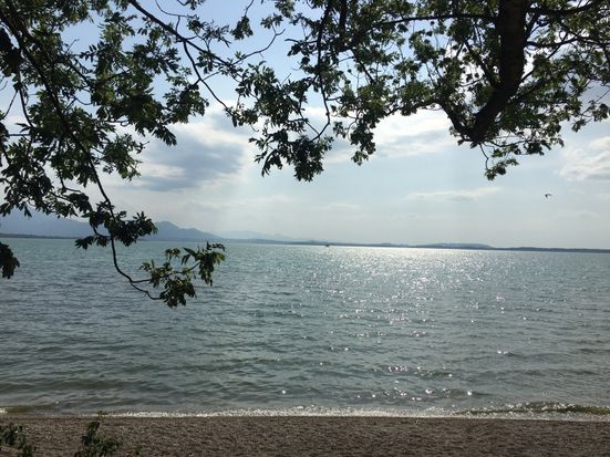 Bild Frühling Julia Philipp