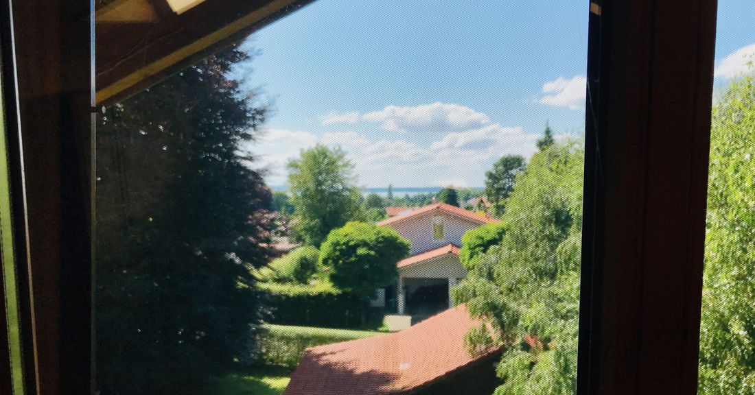 Wohnzimmer // Blick aus Fenster