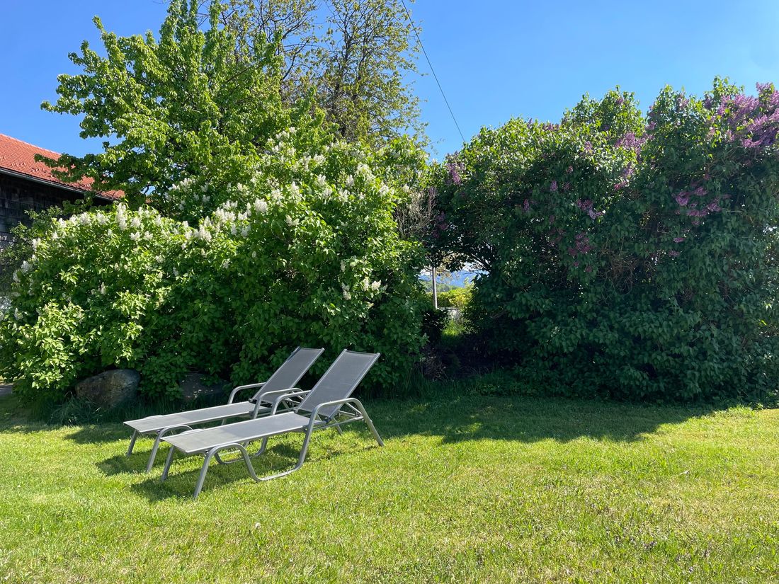 Liegewiese Ferienwohnung Kampenwand