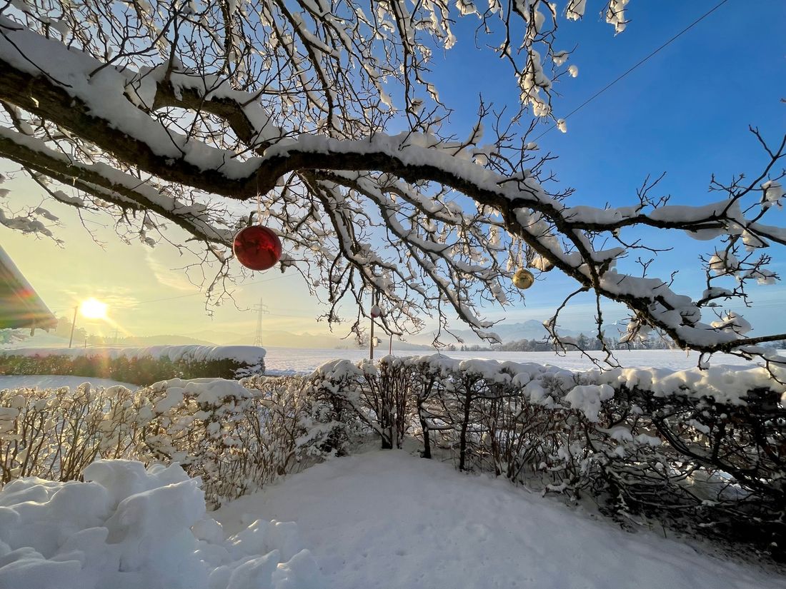 Ausblick vom Hof im Winter