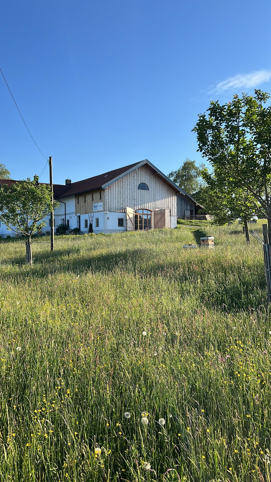 Ferienwohnung