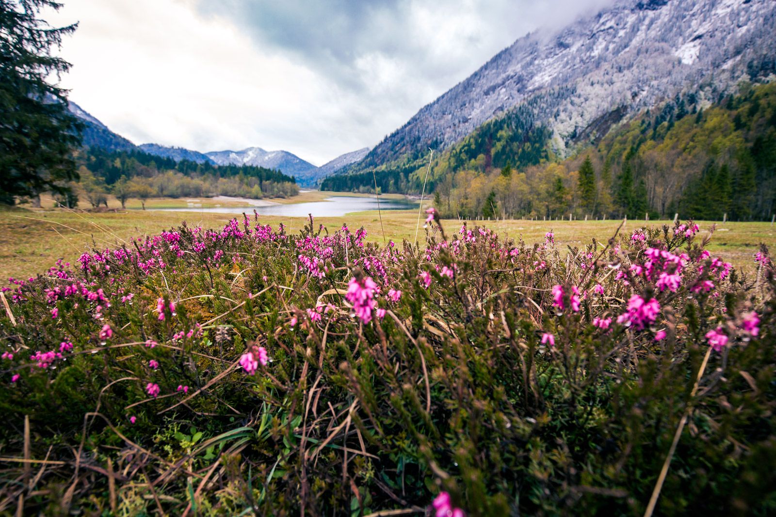 Frühling am Lödensee