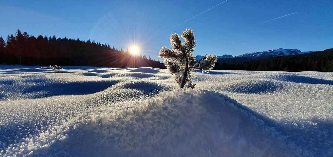 Winterlandschaft Winklmoos - Alm