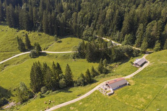 Vordere Dalsen Almen