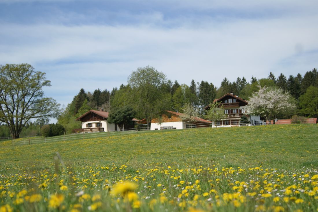 Gästehaus Axmann