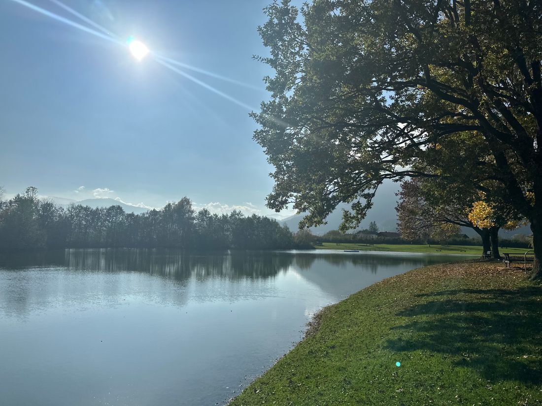 Reifinger See Herbst