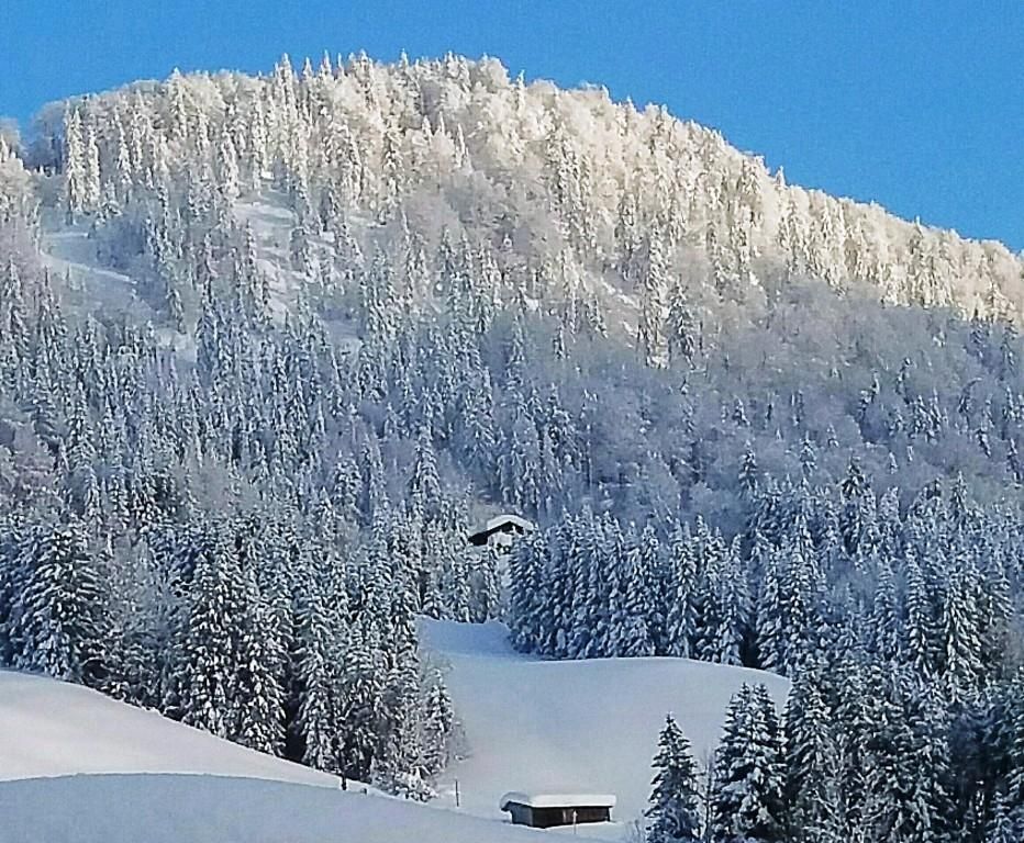 der Ausblick