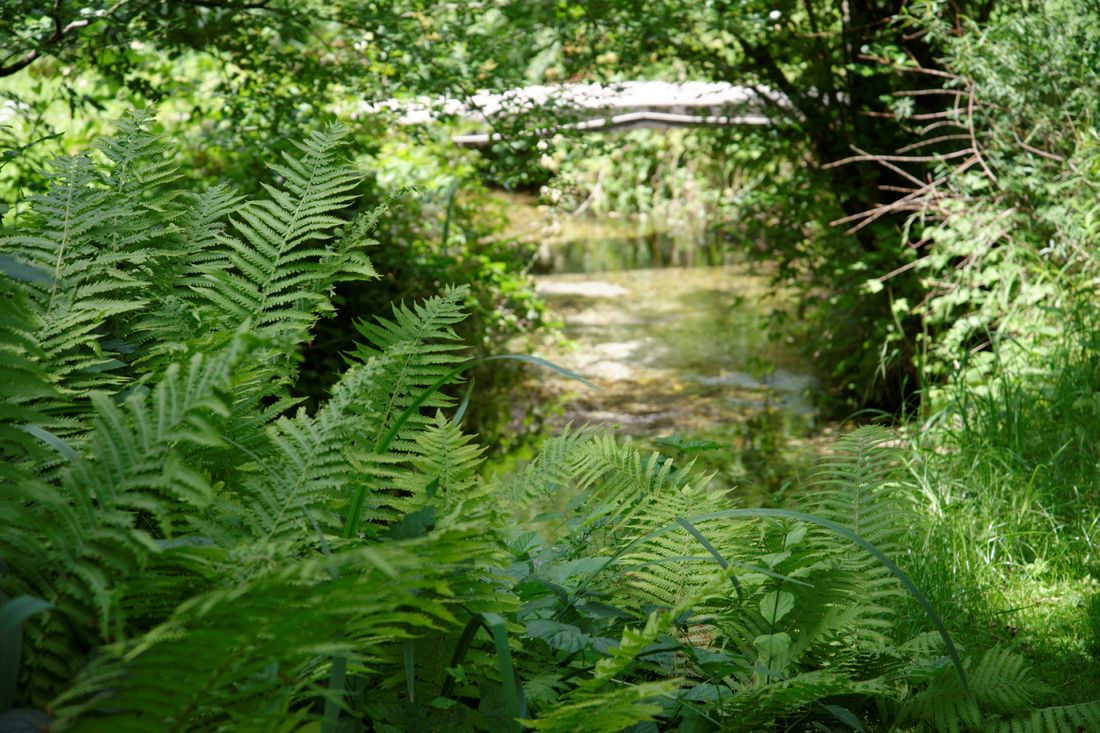 Naturbelassener Bach im Grundstück