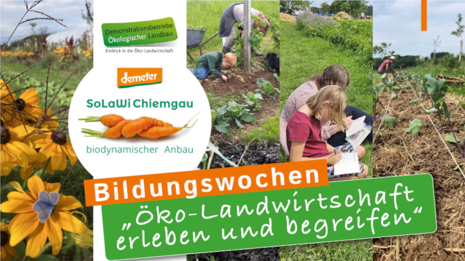 Bildungswochen "Öko-Landwirtschaft"