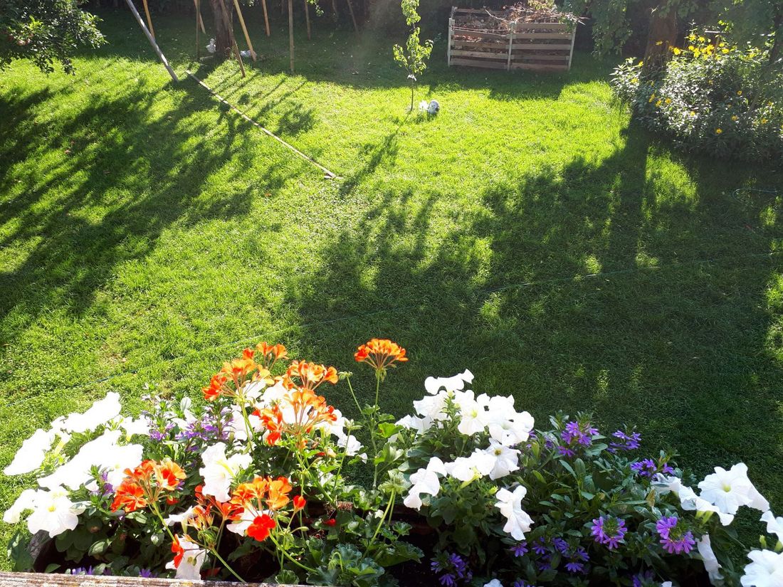 unser Garten