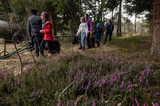 Geführte Moorwanderung im Demelfilz