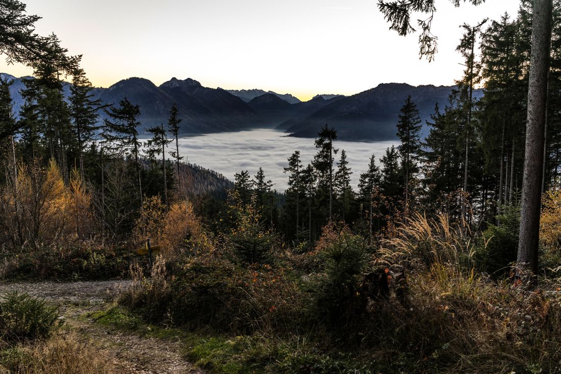 Blick auf das Nebelmee