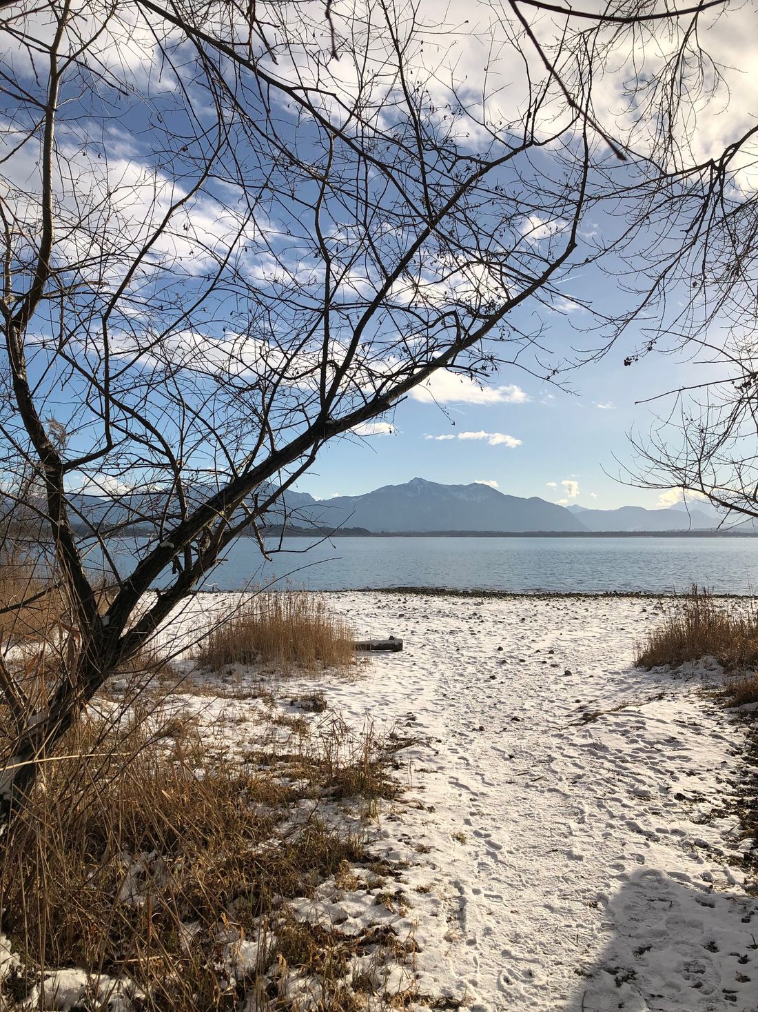 Gesund_kraftvoll_Winter_Philipp