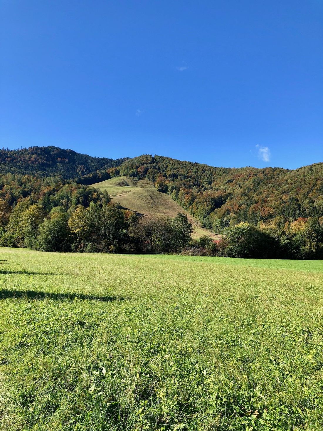 Balsberg im Herbst