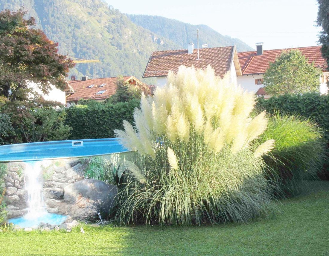 Garten mit Pool