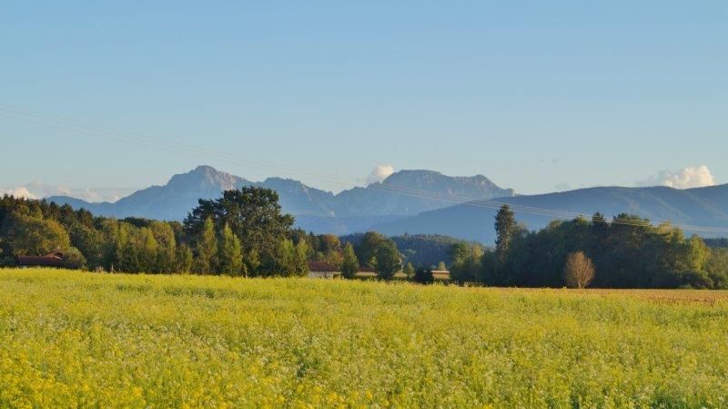 unsere Natur um den Hof