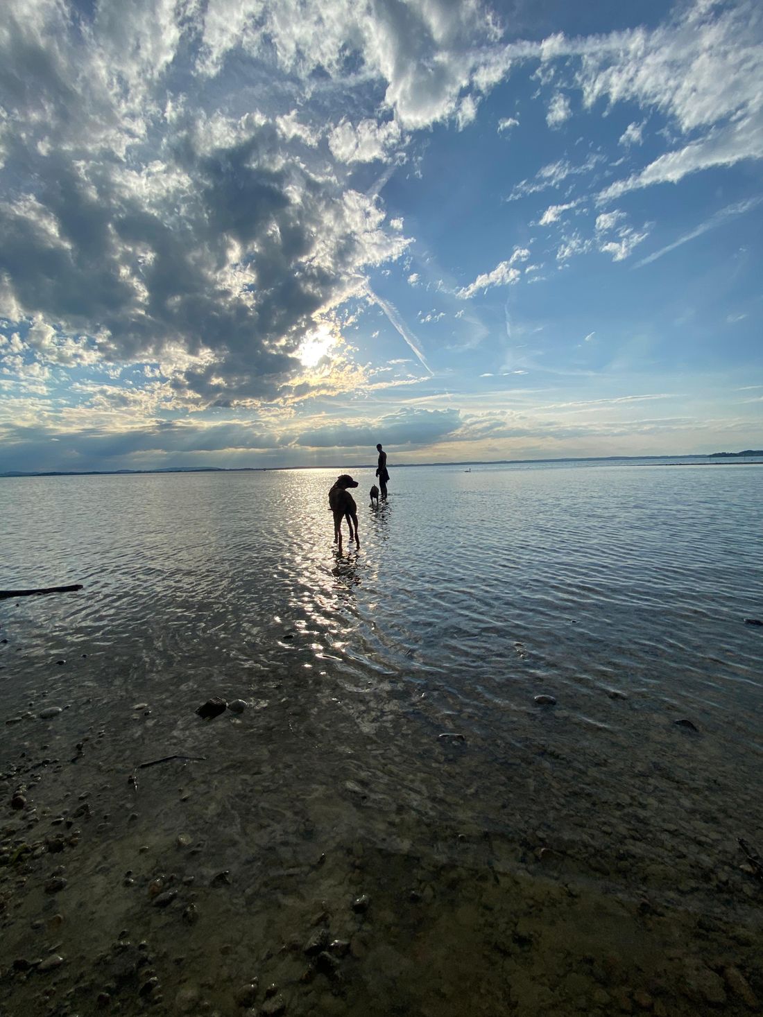 Chiemsee