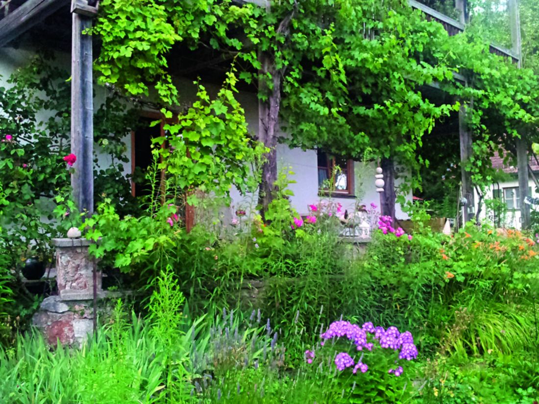 Terrasse/Garten
