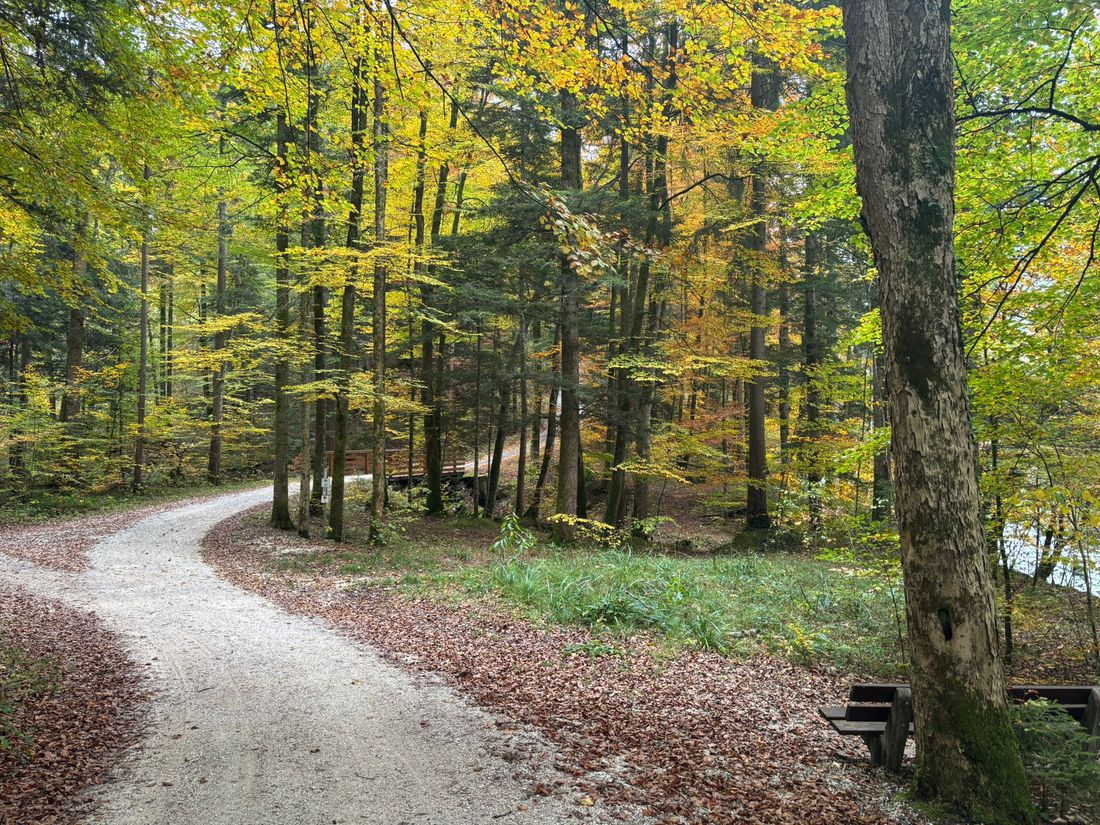 Es gibt viele Wanderwege