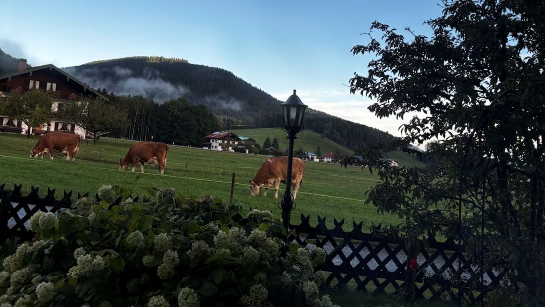 AUSBLICK BADERHÄUSL