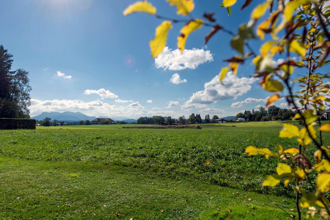 Ausblick Terasse