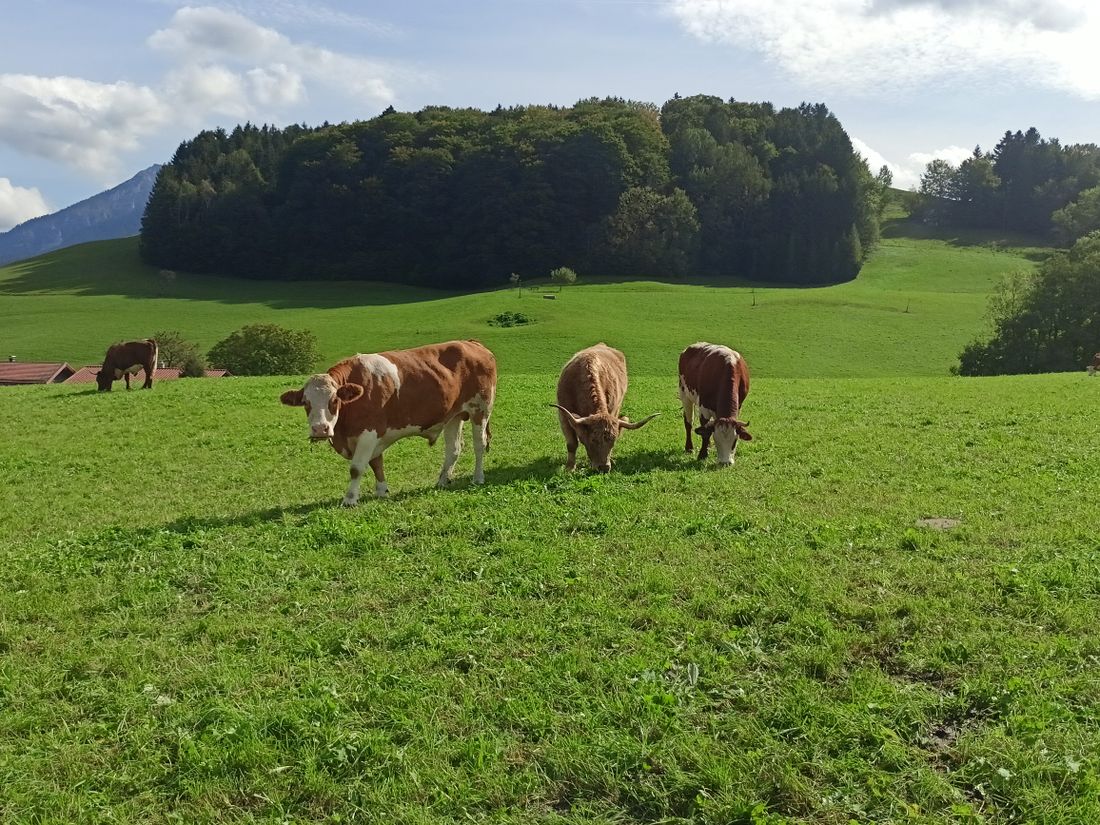 Blick zum Adlerhügel