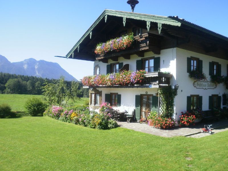 house view