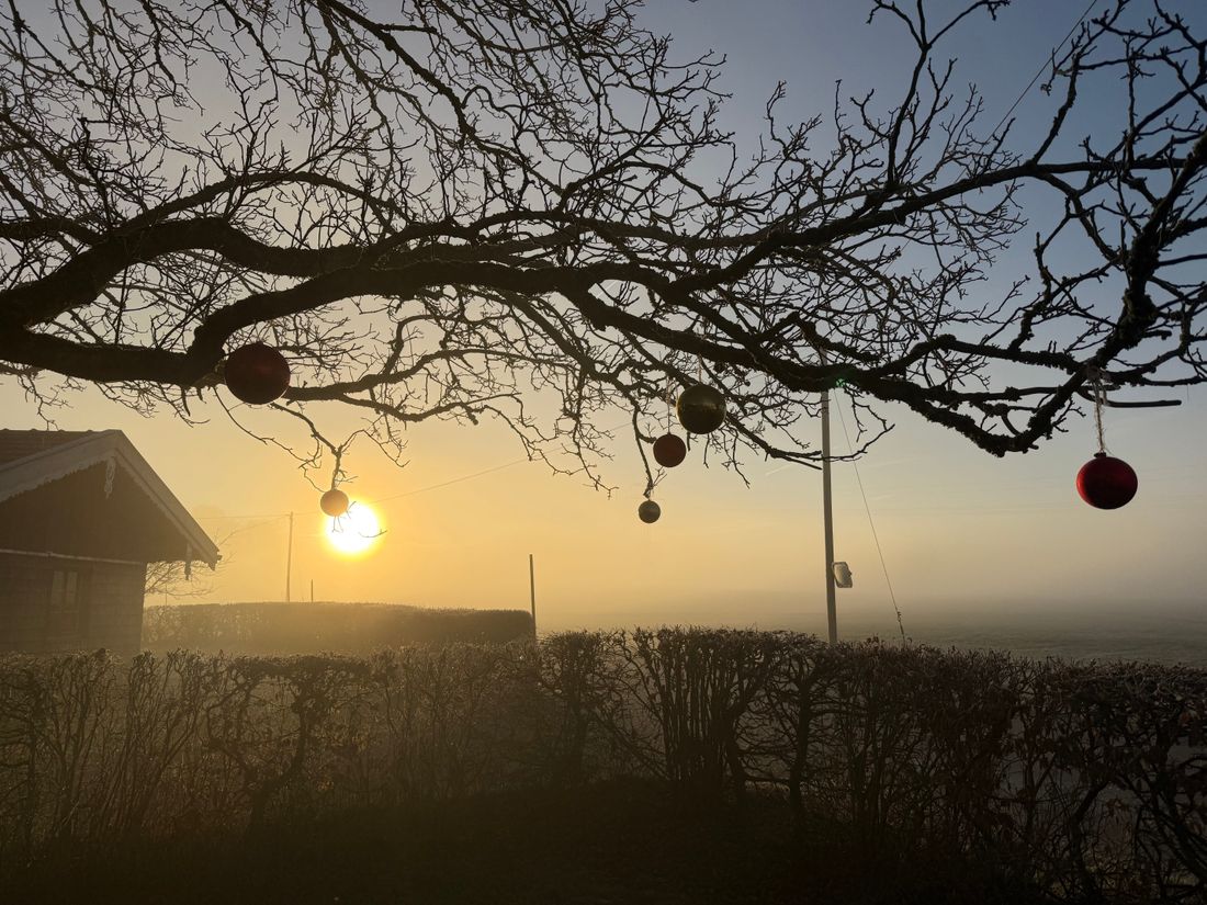Nebel im Herbst