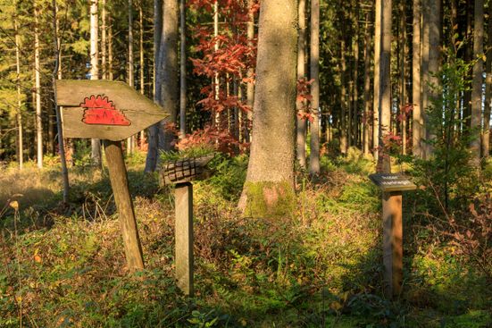 Tittmoning, Walderlebnispfad Meggenthal