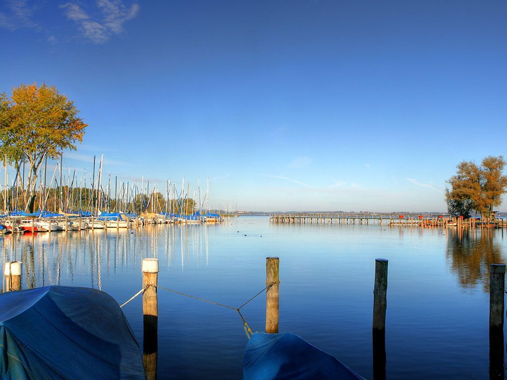 g_feldwieser_bucht