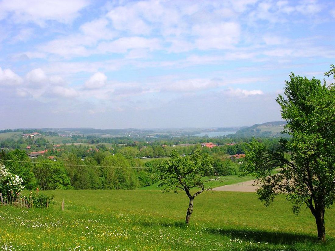 Ausblick