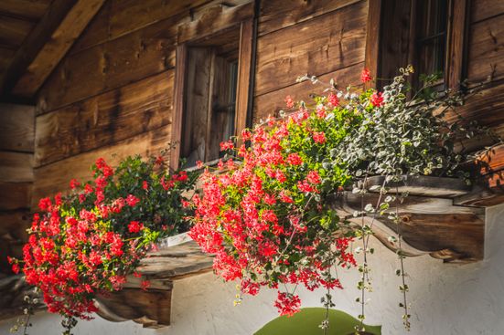 wandern_fs_2015_1-28_12