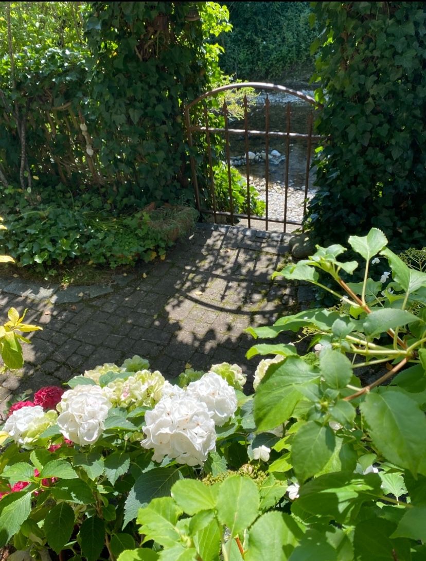 Blick von der Terrasse