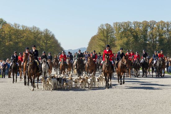 schleppjagd-herrenchiemsee (5)