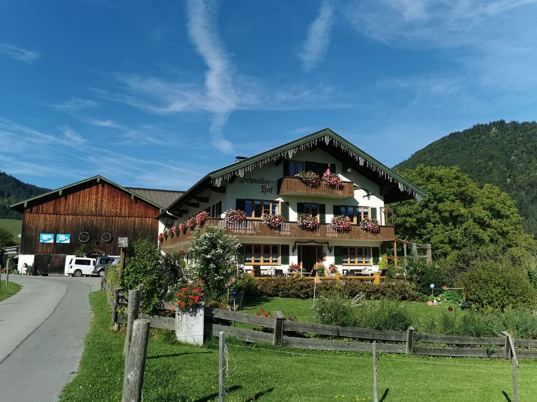 Bild Sommer