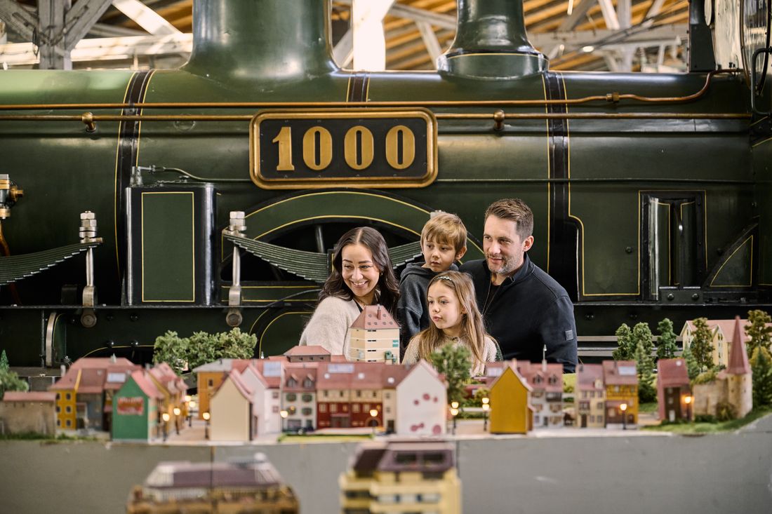 LokweltFreilassing_(c) Matthias Zuckschwerdt (2)