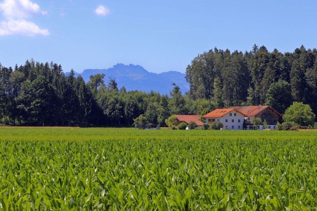 Blick auf die Kampenwand und Lenglach